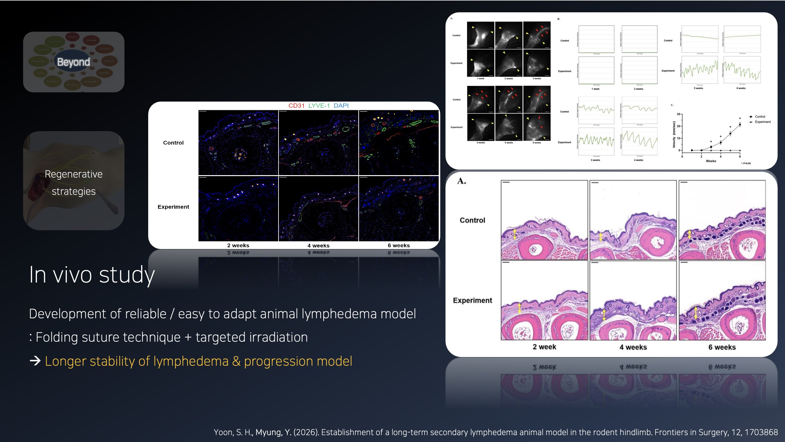 Tissue Engineering Pipeline